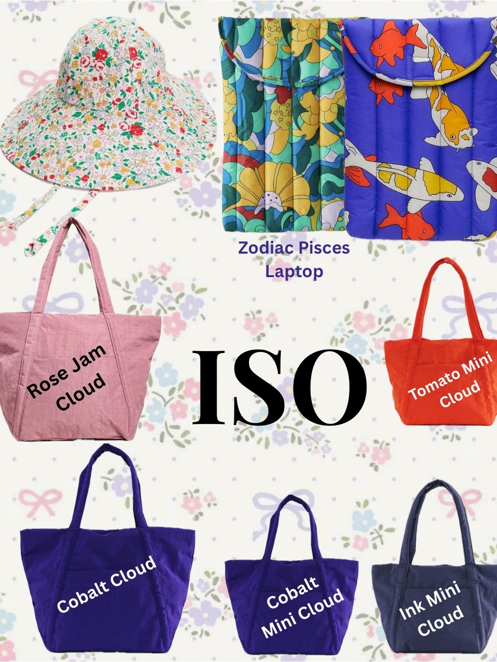 ISO!!! BAGGU